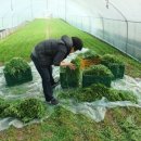 늘푸른건강마을 이미지