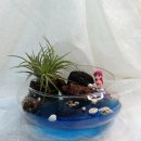 바닷가작은숲 이미지