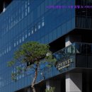 소피텔 앰배서더 서울호텔 앤 서비스드 레지던스 | [서울 호텔] 소피텔 앰배서더 서울 호텔 &amp; 서비스드 레지던스 럭셔리한 서울의 휴식처