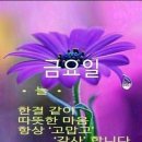 노*수 - 영덕군 중앙길 | 노*수