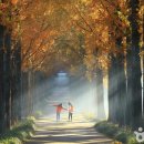 에코왕곡마을 이미지