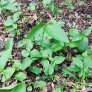 진표농장 이미지