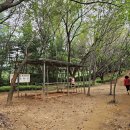 남동근린공원(구) 이미지