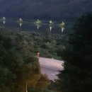 피그멜리온 이펙트 이미지