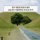 목련꽃그늘아래화실 | 경주 대릉원 포토존 등 아이랑 방문 후기 6월 가볼만한곳