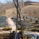 수 그린웨이 이미지