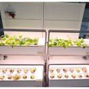 수원시청 대강당 이미지