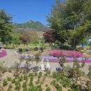 용대2리 이미지