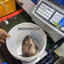 고흥영남수산 이미지