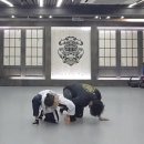 강진태권도체육관 이미지