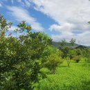 내남농장 이미지