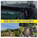 풍류국 | 문경 봉암사 부처님오신날 방문 후기 아너드투어 프리미엄버스 국내당일여행
