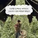 제이애견샵 | 스누피와 함께하는 제이닷트리 크리스마스 팝업 애견동반 방문후기
