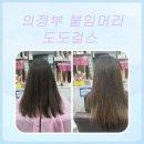 의정부 붙임머리 도도걸스 | 빠른 시술과 정찰제 가격, 타샵 리터치 의정부붙임머리전문점 도도걸스