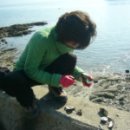 김명자 굴국밥 이미지