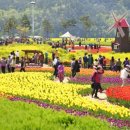 낙동강변14 이미지