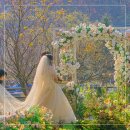 세븐일레븐 일산호수마을점 | 꽃들로 가득한 야외결혼식 파주 일산웨딩홀 헤이리 웨딩마을