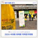 그래도 꽃 | [제주축제후기] 2026 서귀포유채꽃 국제걷기대회 (feat. 아이와 함께 5km 완보)