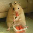 비젼케이 이미지