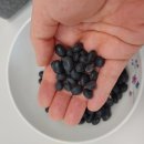 바른농산 - 남해군 봉화로531번길 35-21 | 바른농산