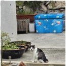 뮤즈 펜션 이미지