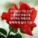 人 生 이미지