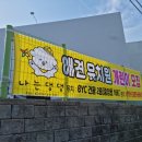 나는 댕댕 이미지