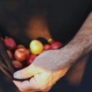 우리소농장 이미지