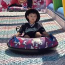 잡다한 일상/킴스델리마켓/루덴시아/현대모터스튜디오고양/월팸클럽쇼/피치스프링스