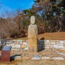 용장리 느티나무 이미지