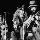 제플린실용음악학원 이미지