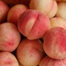 가는골농장 이미지