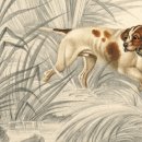 신경한의원 이미지