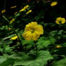 글라라의집 이미지