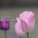 6월의 시/이해인 수녀님 이미지