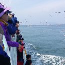 새만금유람선(주) 이미지