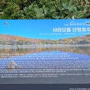 산정 | 한라산 산정호수 &lt;사라오름&gt; 탐방 후기