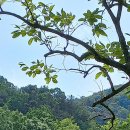 수륜면사무소 이미지