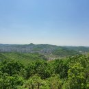 갠차나유 이미지