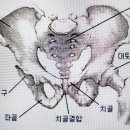 16. 정도(正道), 작용/반작용 : 꽃게 따라 하기 1 이미지