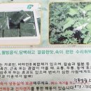 웰빙떡사랑 이미지