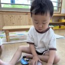 이쪽저쪽