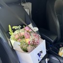 꽃하지요 | [WD-02] 연산동 꽃하지요, 첫인사 선물로 완벽했던 꽃다발 후기💐
