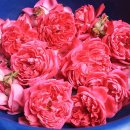 세보한의원 이미지