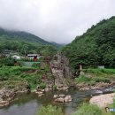 태기산마을 | 잊혀진 전쟁의 상처를 감싸 안은 강원도 평창 덕수산, 장미산(2024.9.7)