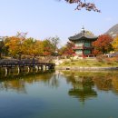 향원정 - 마포구 양화로7길 28 | 향원정