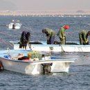 바다세상 이미지