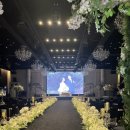 디에스(DS) | 수원 웨딩홀 디에스컨벤션 DS컨벤션 상담 후기(26년 하반기 견적 공유O)