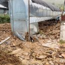 음성경보시설 이미지