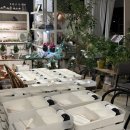 조정체험학교 강당 | 마친 고3 학생들을 위한 테라리움 힐링수업.학교 강당에서 진행한 50명 단체 출강.힐링프로그램.'마음의...